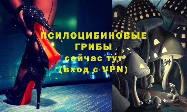 спайс Кодинск