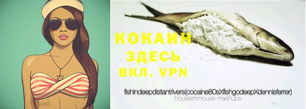 дмт Козловка