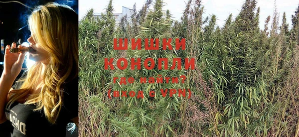 спайс Кодинск