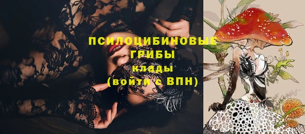 СК Козельск