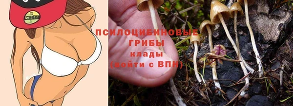 дмт Козловка